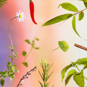 17 רכיבי פלא